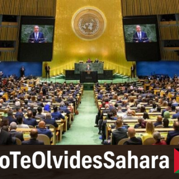 AssembleeONU OPINIÓN | Sáhara Occidental: octubre puede cambiar el tablero, pero no cerrar la descolonización